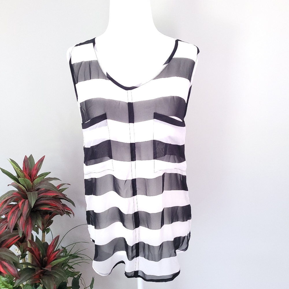 BB Dakota Sheer Striped Top